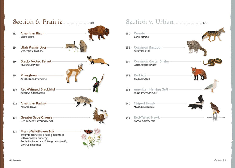 The Field Guide to Embroidery: 52 North American Animal and Plant Designs for Nature Lovers (Beginner-Friendly, Step-by-Step Wildlife Patterns with ... Manatees, Bears, Moose, Flowers, and More By Jessica Kemper