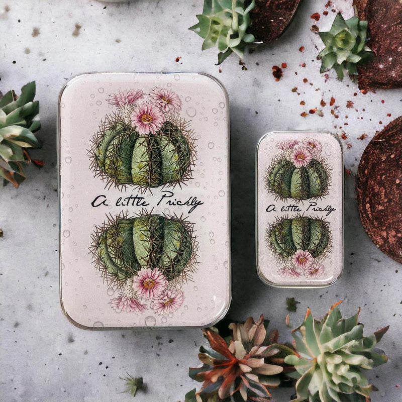Cactus Notions Tin NEEDLE CASE NEEDLE ORGANIZER-Small