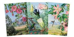 Kew Gardens Marianne North Set of 3 Midi Notebooks  From Flame Tree Studios