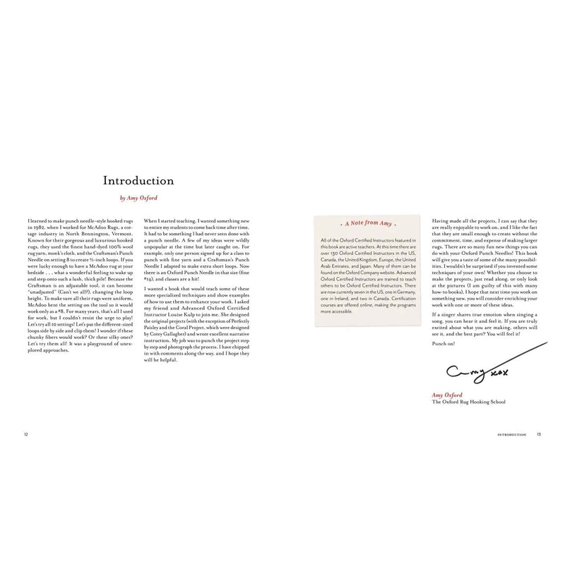 Intermediate & Advanced Punch Needle Rug Hooking: Techniques, Projects, and Inspirations By Amy Oxford (Copy)