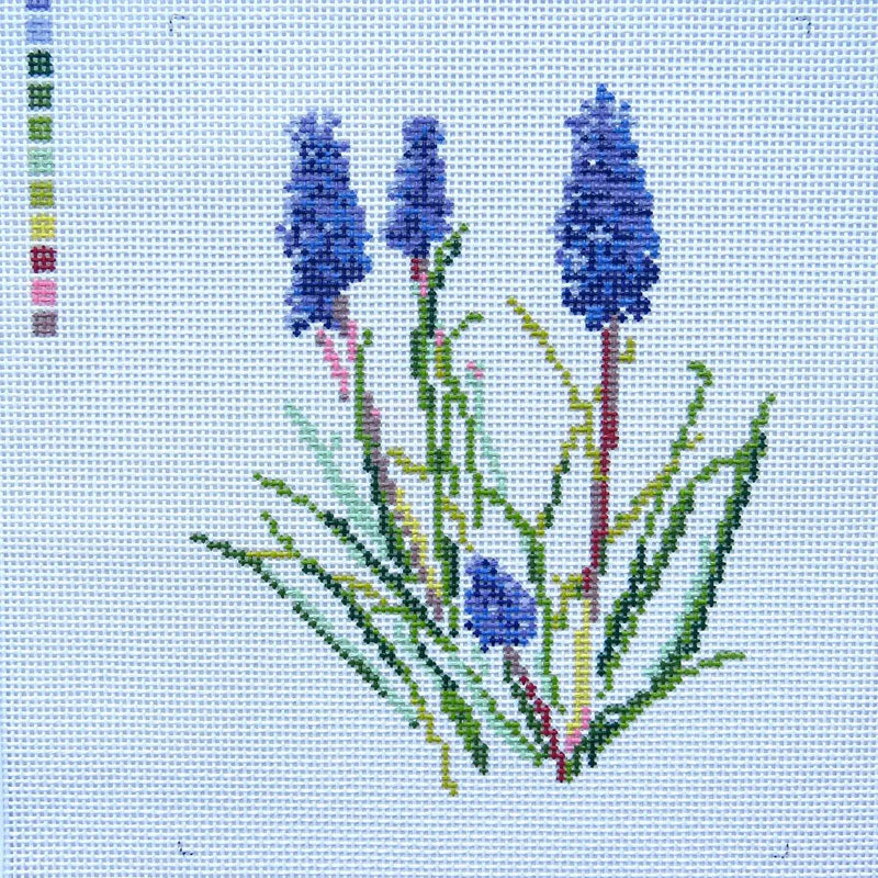 Grape Hyacinth Flowers By Alice & Blue