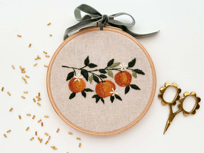 Orange Beginner Embroidery Kit - Stitch Sampler For Beginners - By Matryoshka Doll Shop Counted Cross Stitch Kit -  Great for a New Stitcher! (Copy)