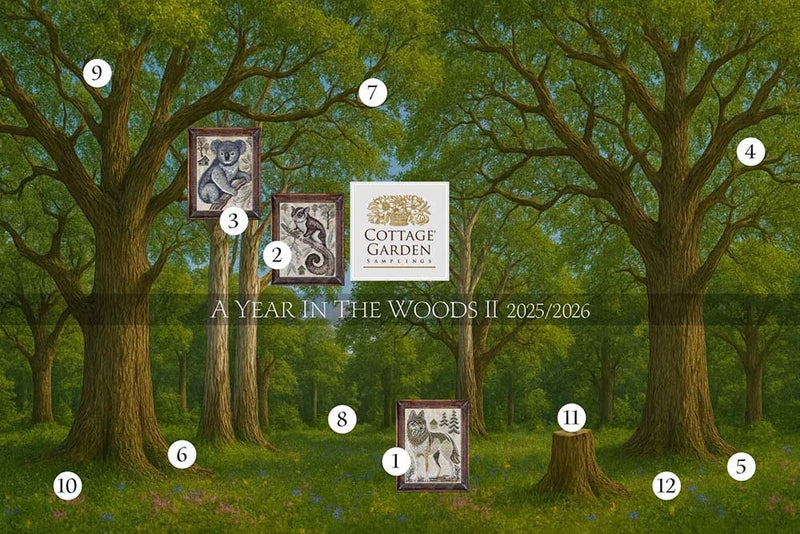 A Year in the Woods II - Part 3 - The Koala Bear by Cottage Garden Samplings Counted Cross Stitch Pattern