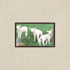 [product_title] - Artful Needleworker Counted Cross Stitch