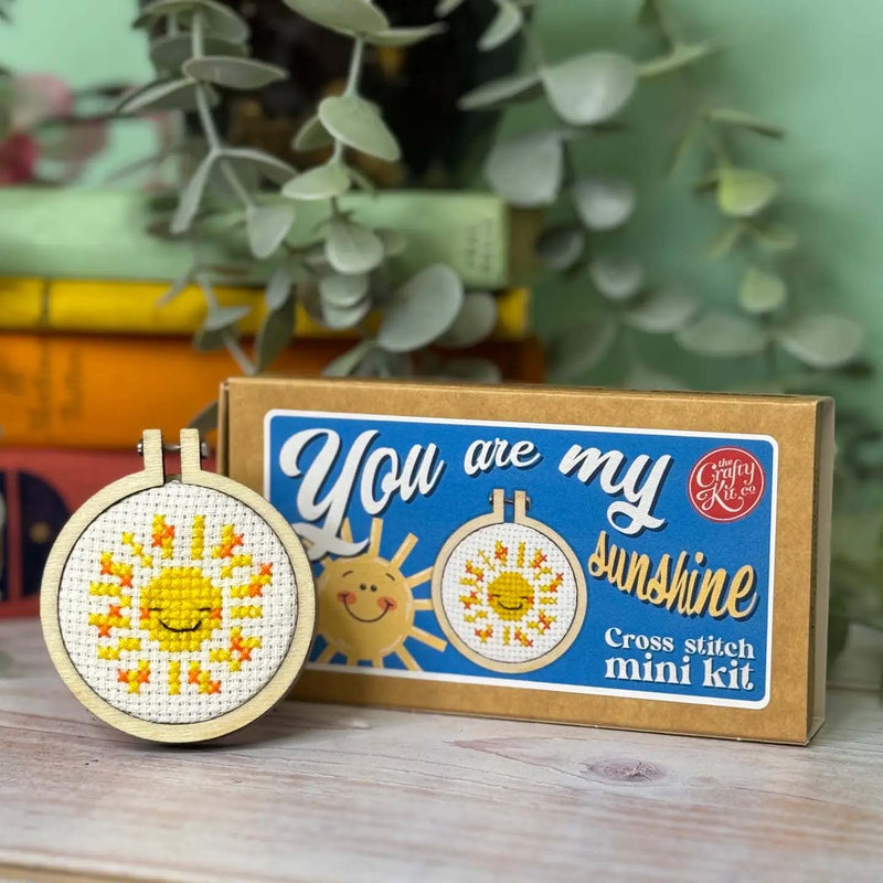 'you Are My Sunshine' Mini Matchbox Cross Stitch Kit Counted Cross Stitch Kit From Craft Kit Company