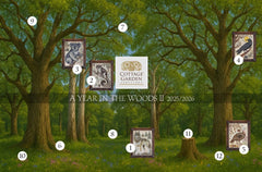 A Year in the Woods II - Part 5 - The Turkey by Cottage Garden Samplings Counted Cross Stitch Pattern