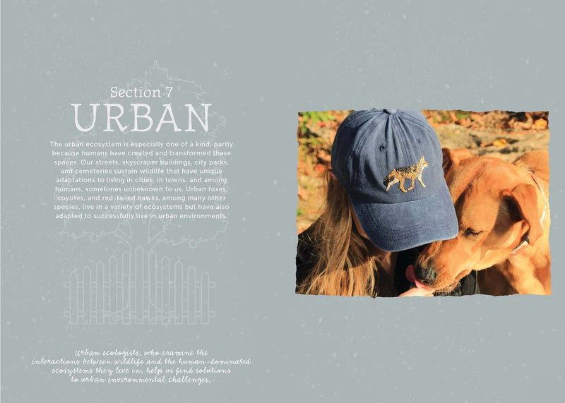 The Field Guide to Embroidery: 52 North American Animal and Plant Designs for Nature Lovers (Beginner-Friendly, Step-by-Step Wildlife Patterns with ... Manatees, Bears, Moose, Flowers, and More By Jessica Kemper