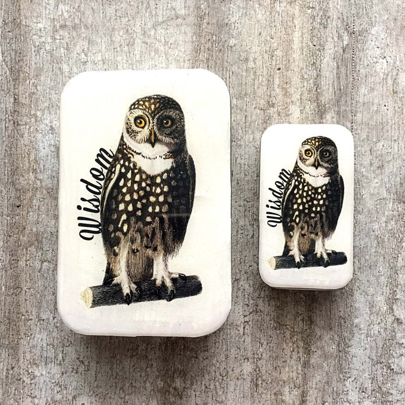 Wise Owl Tin NEEDLE CASE NEEDLE ORGANIZER-Large