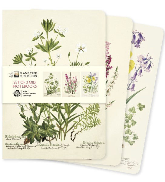 Royal Botanic Garden Edinburgh Set of 3 Midi Notebooks From Flame Tree Studios