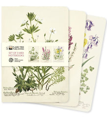 Royal Botanic Garden Edinburgh Set of 3 Midi Notebooks From Flame Tree Studios