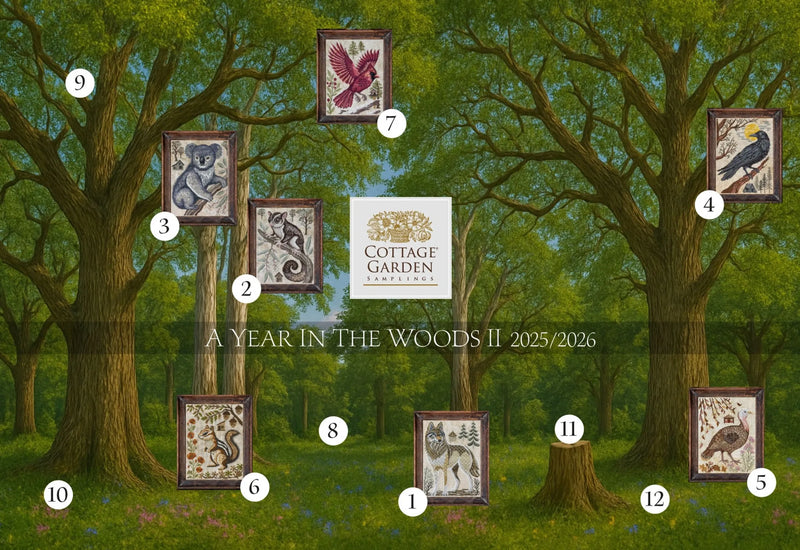 A Year in the Woods II - Part 6 - The Chipmunk by Cottage Garden Samplings Counted Cross Stitch Pattern